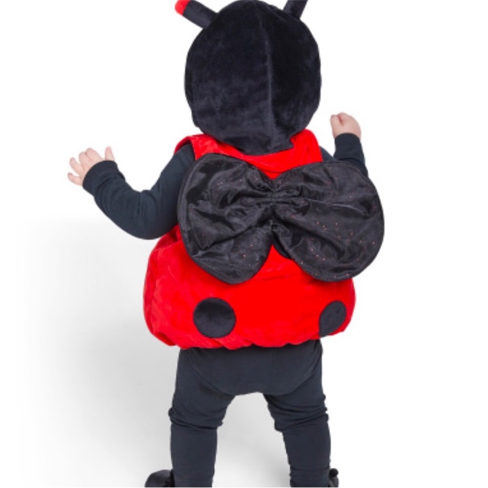 Fun of a Kind Lady‎ Bug Costume 18m - Picture 2 of 6